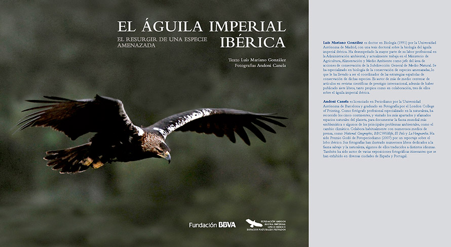 La Fundación BBVA y la Fundación de Amigos del Águila Imperial narran cómo  se está recuperando la especie en una obra ilustrada con imágenes inéditas  • Fundación Amigos Águila Imperial