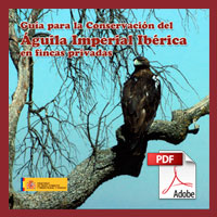 Guía para la conservación del águila imperial ibérica en fincas privadas